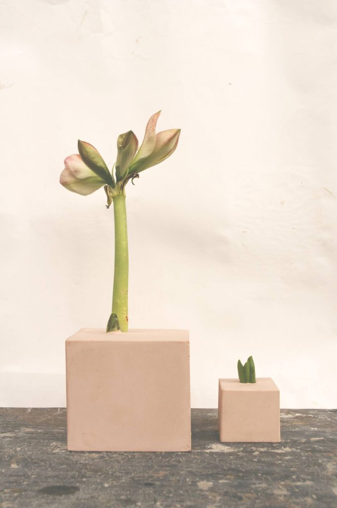 graduation show gent