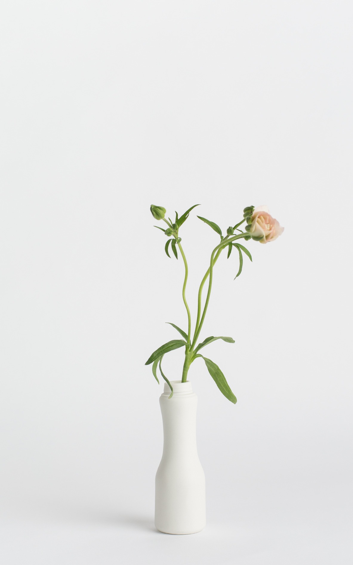 bottle vase #6 white with flower
